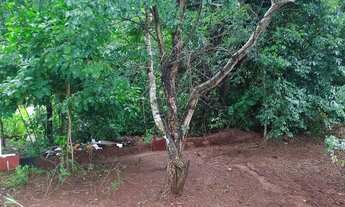 Imagem 4: Cháchara Jardim são José