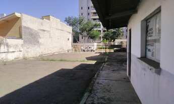 Imagem 6: área - Bosque - Campinas