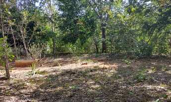 Imagem 4: Chacara de recreio a venda estrada do manso