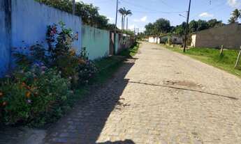 Imagem 4: Chácara Chácara com venda por R$100.000