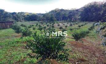 Imagem 6: Terreno para Chácara à venda, 2000 m² em Tijucas/SC