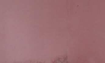 Imagem 3: Vendo ou troco terreno com casa