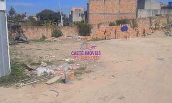 Imagem 3: 3 Excelentes lotes