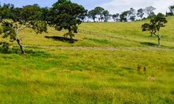 Imagem 7: Lote/Terreno para venda possui 1000 metros quadrados em Vila Mascate - Nazaré Paulista - S
