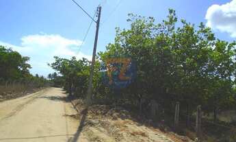 Imagem 3: TERRENO para aluguel, Eusébio - EUSÉBIO/CE