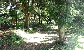 Imagem 3: VENDA DE TERRENO no Rio Tavares - Florianópolis - SC