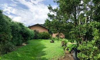 Imagem 7: TB- Vendo Excelente terreno, 100% plano