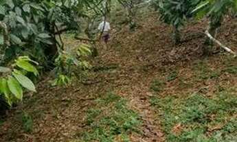 Imagem 5: MA Fazenda/Sítio/Chácara para venda em Ibirataia