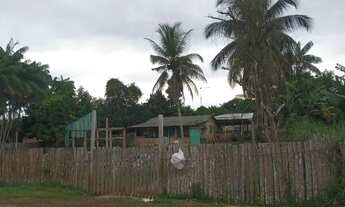 Imagem 6: Terreno com Casa, Árvores Frutíferas e Localização Privilegiada na Comunidade MarcosFreire