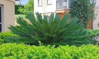 Imagem 6: Apartamento 65 m², 3 dormitórios com Sacada