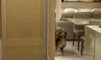 Imagem 7: Apartamento do m Patamres colina A 155 M2