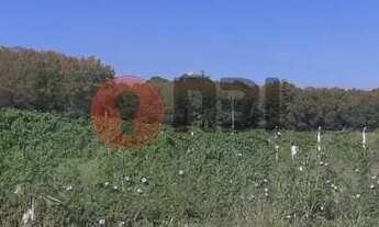 Imagem 3: SAO JOSE DO RIO PRETO - Residential / Land Lot - ELDORADO