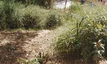 Imagem 3: Vendo lote em general Carneiro 360 metros