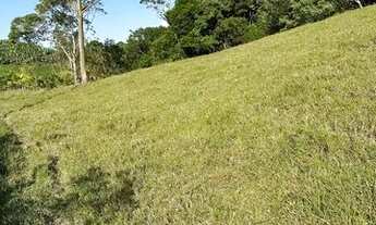 Imagem 5: Terreno lote Luís Alves/sc