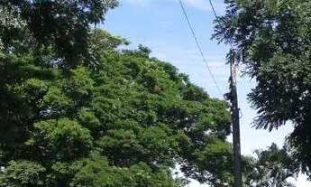 Imagem 4: Área à venda, 4850 m² por R$ 5.000.000,00 - Morumbi - Paulínia/SP