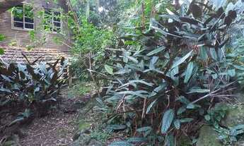 Imagem 6: OFERTAO CASA 3 QTS SUTIE TERRENO 614 M2 COM 18 DE FENTE DOC OK ACEITA FINANCIAMENTO 3 QTS