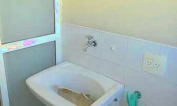 Imagem 5: Apartamento com ótima localização e lazer completo!