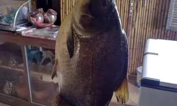 Imagem 6: Aluguel de sítio em Taquaraçu de Minas