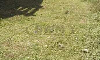 Imagem 4: Terreno Residencial à venda, Jardim Morumbi, Sorocaba - TE1519