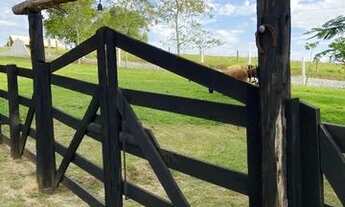 Imagem 2: VENDO LINDA CHACARA DE 3 HECTARES EM IÇARA