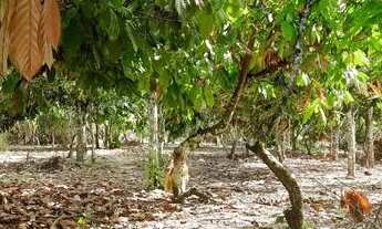 Imagem 7: Chacara BR 367 - Porto Seguro