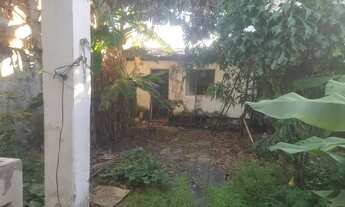 Imagem 6: Aluga-se para fins comerciais