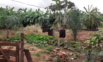 Imagem 6: 153. Chácara com rio no Distrito De Bonfim - Jaraguari/MS