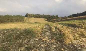Imagem: Vendo e aceito carro com parte de pagamento