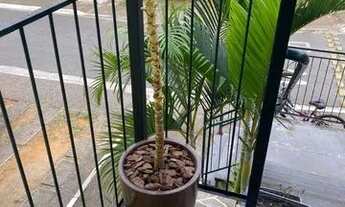 Imagem 3: CASA RESIDENCIAL em GUARULHOS - SP, JARDIM PRESIDENTE DUTRA