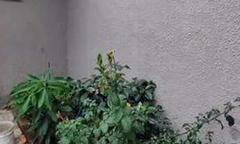 Imagem 4: SOBRADO RESIDENCIAL em ALVORADA - RS, PORTO VERDE