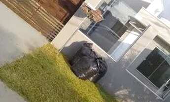 Imagem 2: Casa aluguel em pinhais ver descrição **