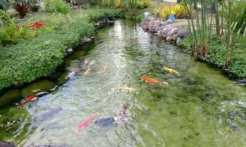 Imagem 5: Apartamento para venda tem 113 metros quadrados com 2 quartos em Tamboré - Santana de Parn