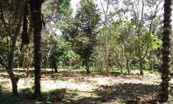 Imagem 7: Ótimo terreno em Iranduba