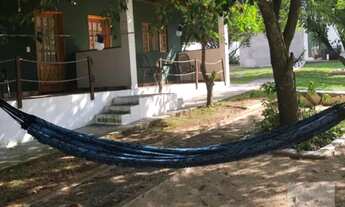 Imagem 7: Sítio com Estrutura Completa e Excelente Potencial Comercial