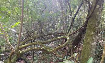 Imagem 5: Rancho lago Corumbá 4