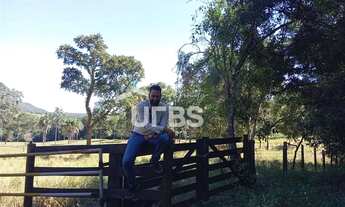 Imagem 4: Oportunidade de chacará com mata exuberante