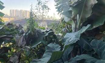 Imagem 7: Terreno à venda Assunção - São Bernardo do Campo - SP
