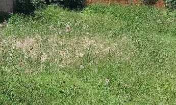 Imagem 6: Lote de 340m² no Setor Sul / Rua Rio Grande do Sul, Quadra 193