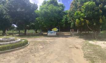 Imagem 2: Sítio com piscina, 4 quartos para Locação, mede 1 Hectare, Estrada Usina Santana, Teresina