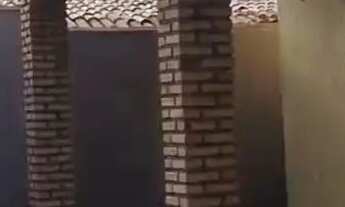 Imagem 2: Aluguel Casa Coqueiro