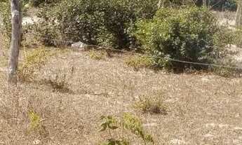 Imagem: Vendo ou troco por carro, em paracuru