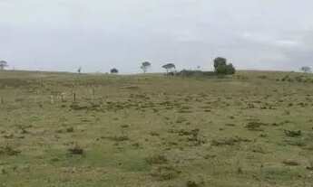 Imagem 7: Imóvel para venda possui 169400 metros quadrados em Centro - Carapebus - RJ