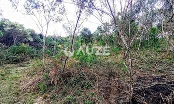 Imagem 5: Maravilhosa Chácara à venda, Colônia Murici, São José dos Pinhais, PR