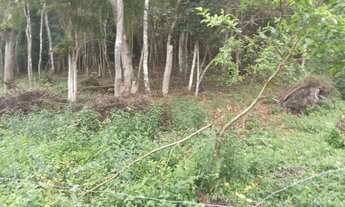 Imagem 6: Oportunidade 3 mil mts 57 mil reais