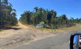 Imagem 3: Fazenda para Venda Rural, Teresina