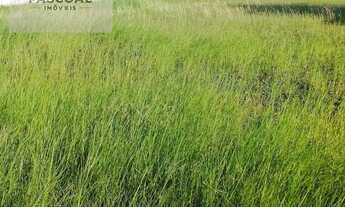 Imagem 6: Terreno à Venda em Cabo Frio - Nova Califórnia por R$34.700