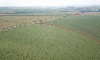 Imagem 6: Fazenda à Venda 406 alq - Próxima a Araraquara - SP
