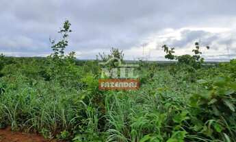 Imagem 2: Fazenda 140 alqueires (677 Hectares) Colinas Do Sul - Go