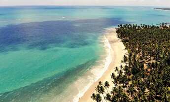 Imagem 6: Iva o Paraíso: Imóveis Exclusivos na Praia de Carneiros