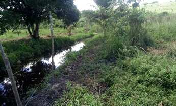 Imagem 2: Sítio para Venda em Messias, Zona Rural